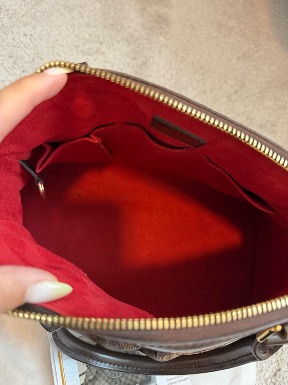 Louis Vuitton Damier Ebene Trevi PM Bag! - Picture 8 of 10